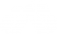 Directeam Logo